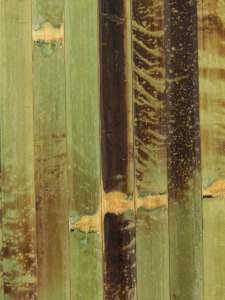 Bambusový obklad z vnější kůry bambusu